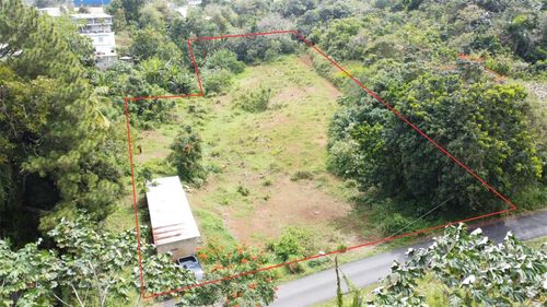 4-CARR 173 Sumidero, Aguas Buenas, PR, 00703 | Card Image