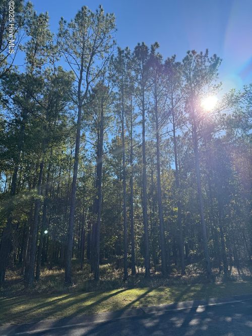 527-606 Bendigo Psge Se, Bolivia, NC, 28422 | Card Image