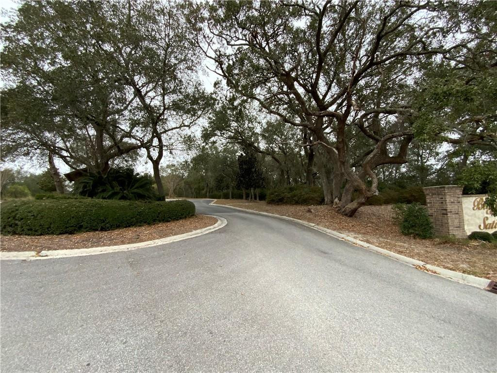 Land in Blackshear 4