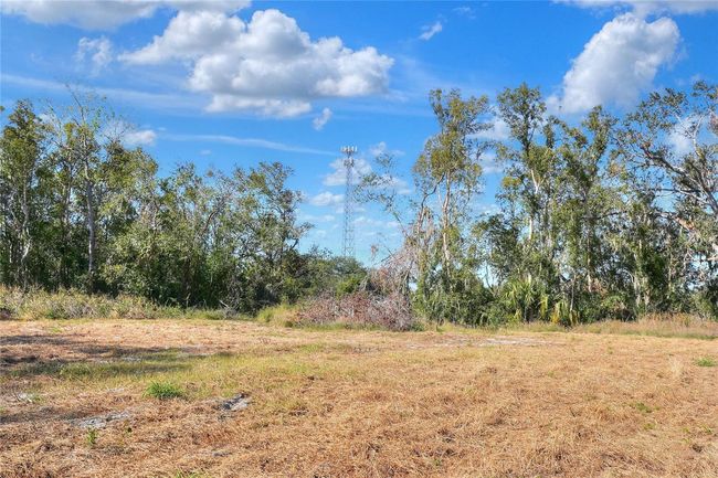 17744 Bledsoe Loop, Home with 0 bedrooms, 0 bathrooms and null parking in LITHIA FL | Image 5
