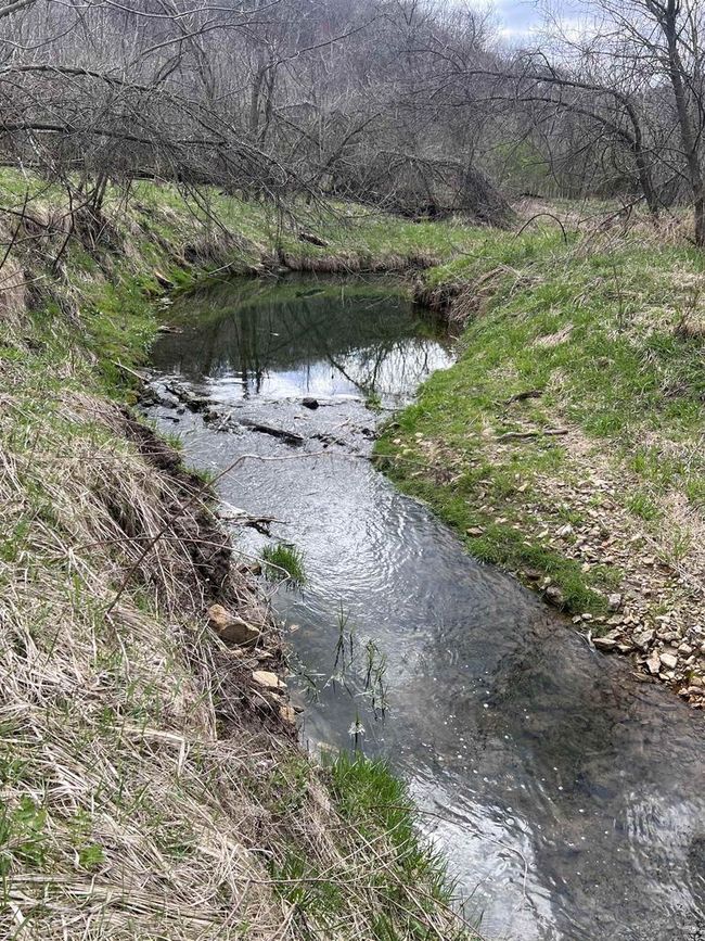 71 +/- Acres Scenic View Road, Home with 0 bedrooms, 0 bathrooms and null parking in Seneca WI | Image 33