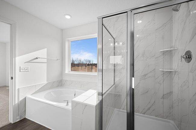 Tub and Shower with a view | Image 13
