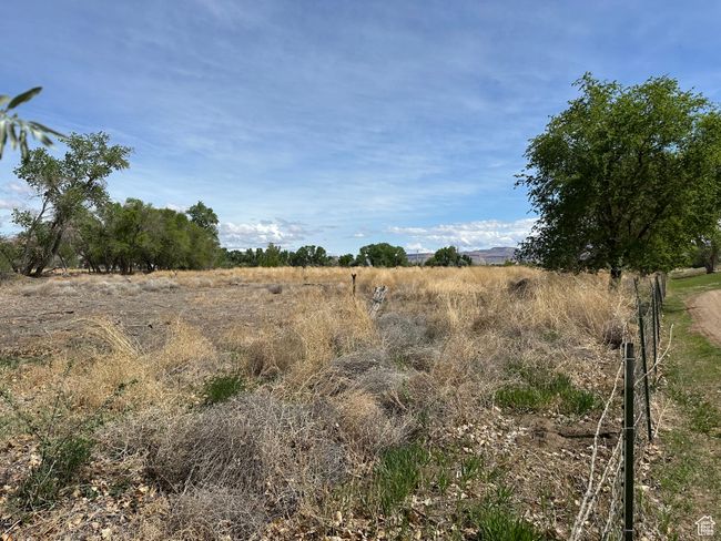 View of undeveloped land featuring rural landscape | Image 7