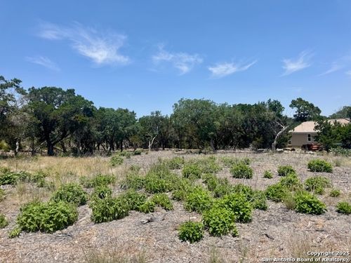 134 Live Spring Lane, Hunt, TX, 78024 | Card Image