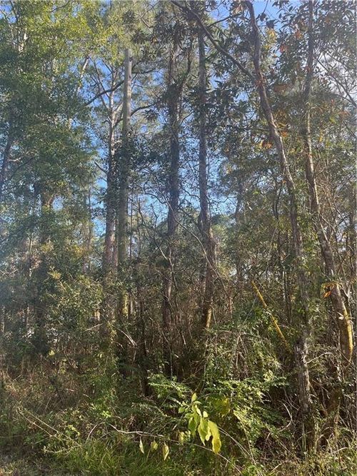 1869 Cedar Creek Cir, Coden, AL, 36523 | Card Image