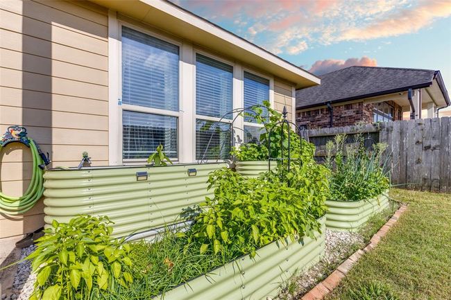 Raised Beds | Image 35