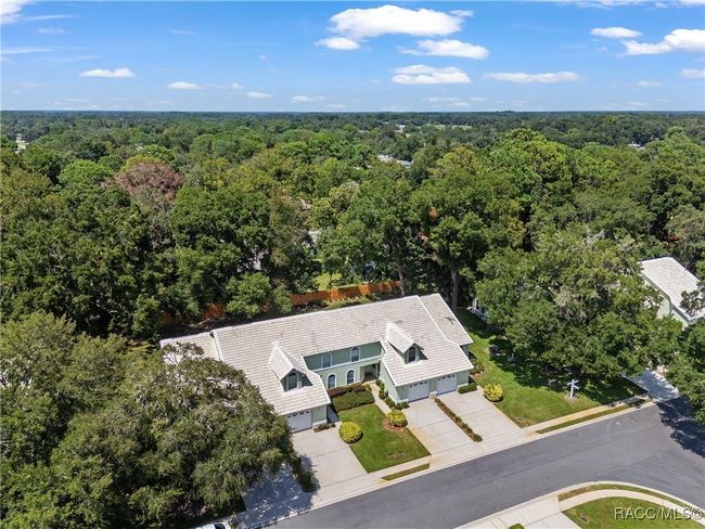 821 Inverie Dr, House other with 3 bedrooms, 3 bathrooms and 1 parking in INVERNESS FL | Image 67