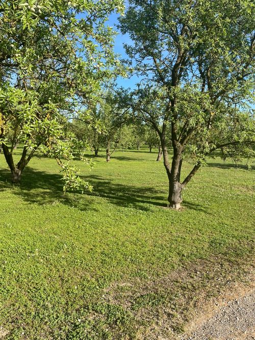 17576 E State Highway 120, Ripon, CA, 95366-9726 | Card Image