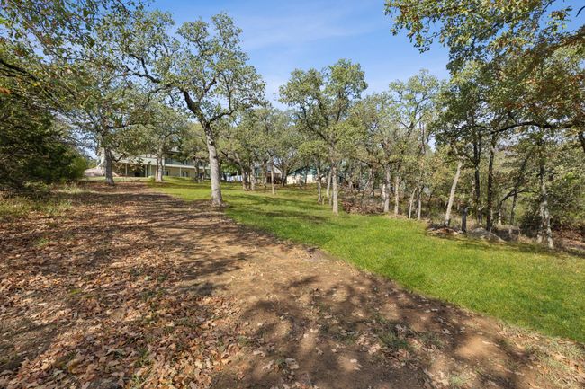 View of yard | Image 39