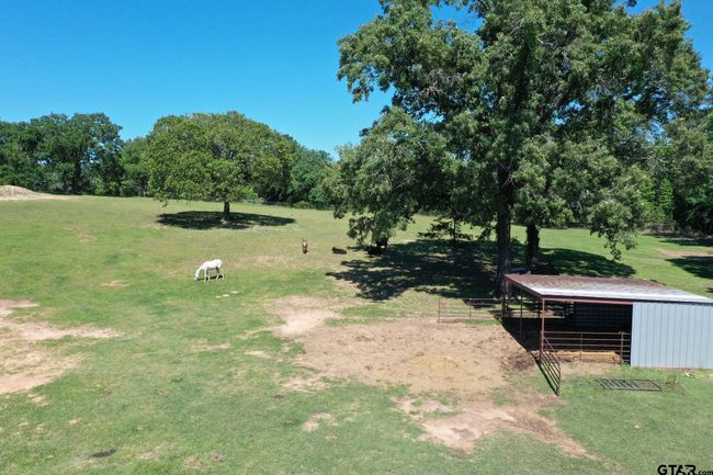 3662 An County Road 359, Home with 3 bedrooms, 3 bathrooms and null parking in Palestine TX | Image 36