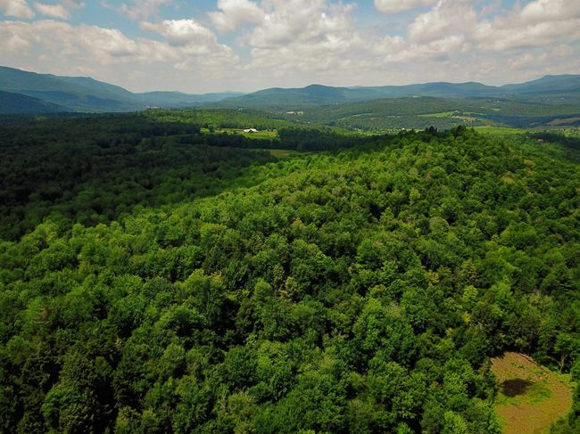 1730 Sinclair Rd, Home with 0 bedrooms, 0 bathrooms and null parking in Johnson VT | Image 36
