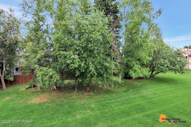 Backs to Green Space | Image 17