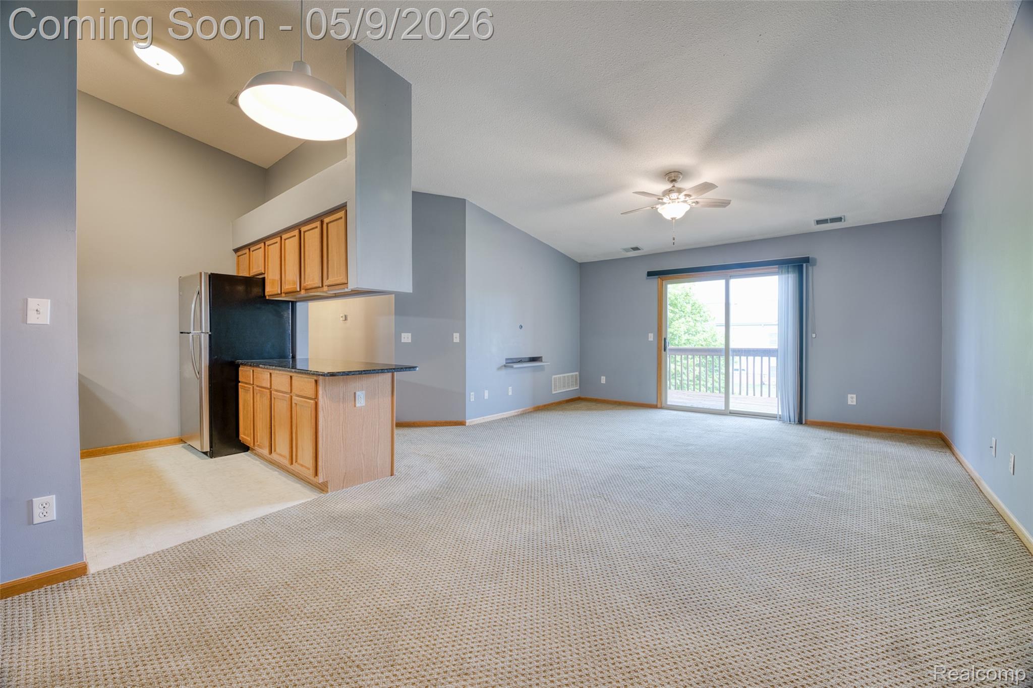 Residential in Van Buren Charter Township 5