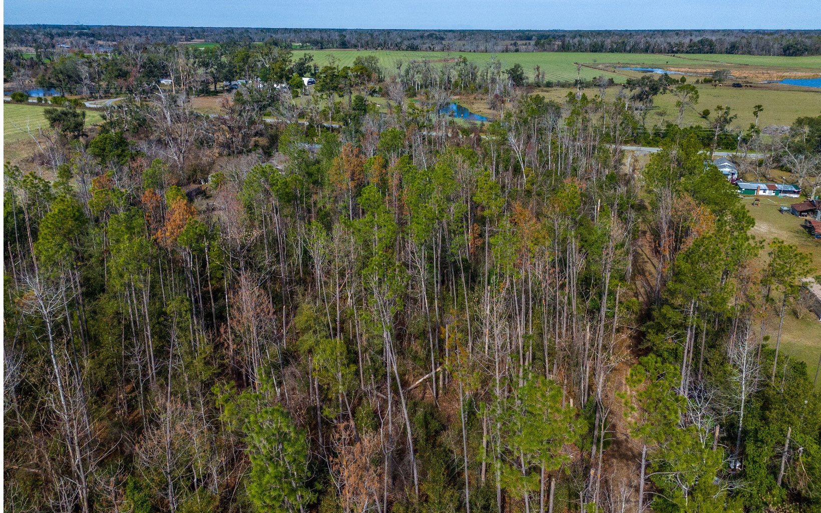 Land in Jennings 5