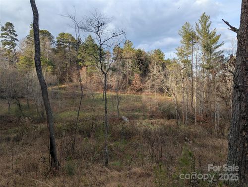 6-36 Country Cove Ct, Leicester, NC, 28748-8302 | Card Image