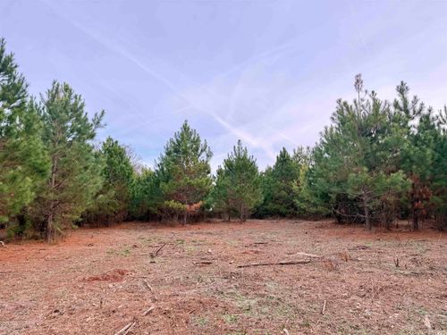 2 New Pine Rd., Johnsonville, SC, 29555 | Card Image