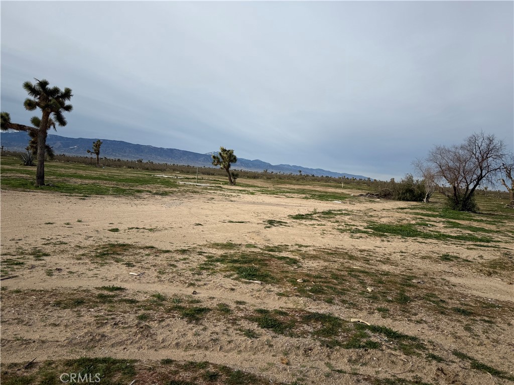 Land in Phelan 3