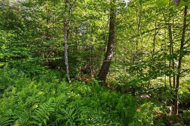 LOT-3 - 00 Vt Route 103 N, Home with 0 bedrooms, 0 bathrooms and null parking in Chester VT | Image 12