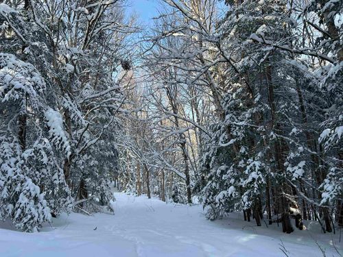 242 Noyes Rd, Stewartstown, NH, 03576-5561 | Card Image