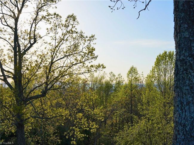 728 Indian Trl, Home with 0 bedrooms, 0 bathrooms and null parking in Henry VA | Image 38