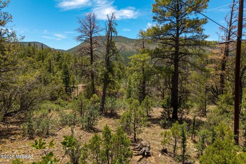 34 County Road 2279, Nutrioso, AZ, 85932 | Card Image