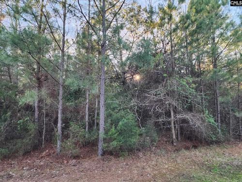 0 Wright-Sims Road, union, SC, 29379 | Card Image