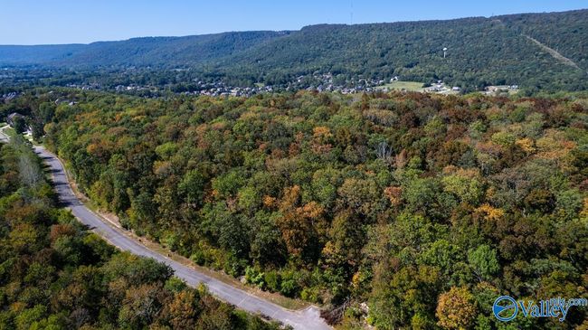 7010 Ridge Crest Rd, Home with 0 bedrooms, 0 bathrooms and null parking in Owens Cross Roads AL | Image 8