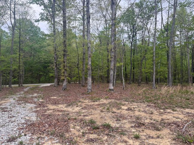 0 Deerwood Dr, Home with 0 bedrooms, 0 bathrooms and null parking in Sewanee TN | Image 6