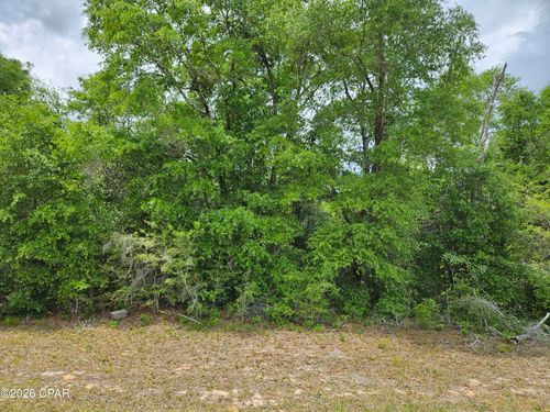 Lot 06 Malone Pl, Chipley, FL, 32428 | Card Image