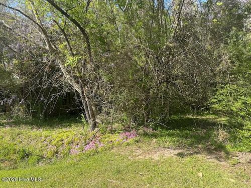 2-408 Mill Quarters Rd, Hallsboro, NC, 28442-9528 | Card Image
