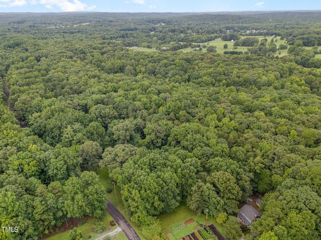 010_dji_20240724085845_0091_d-edit | Image 6
