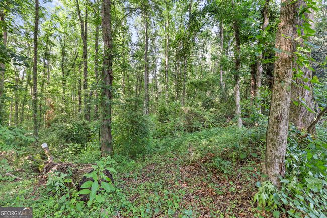 1571 Sunshine Rd, House other with 3 bedrooms, 2 bathrooms and 2 parking in Toccoa GA | Image 49