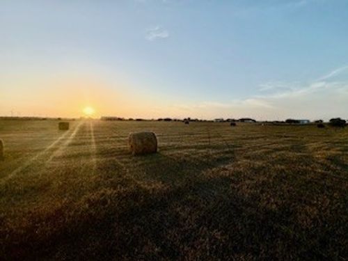 16903 Fm 630, Odem, TX, 78370-4153 | Card Image