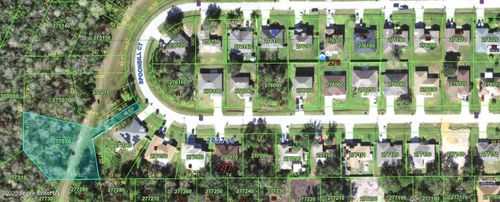 0-00 Spoonbill Ct, Kissimmee, FL, 34759 | Card Image