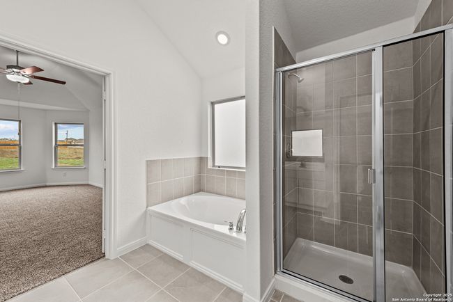 Representational Owner's Bathroom | Image 10