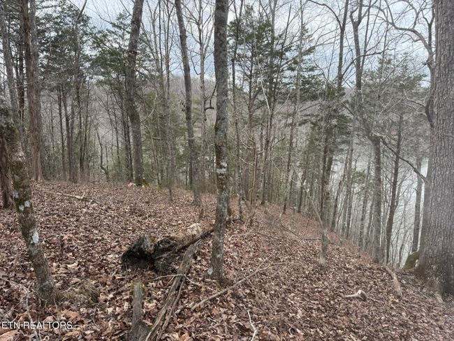 649 Garrett Town Ln, Home with 0 bedrooms, 0 bathrooms and null parking in Monroe TN | Image 24