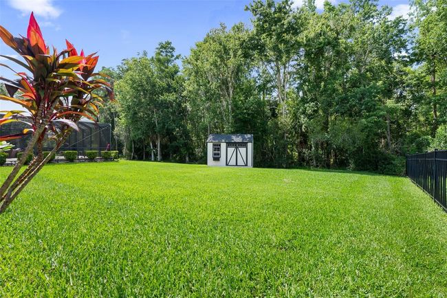 10880 Cory Lake Dr, House other with 3 bedrooms, 2 bathrooms and null parking in TAMPA FL | Image 40