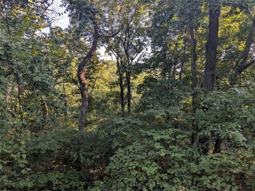 12 Cove Ln, Holiday Island, AR, 72631-4903 | Card Image