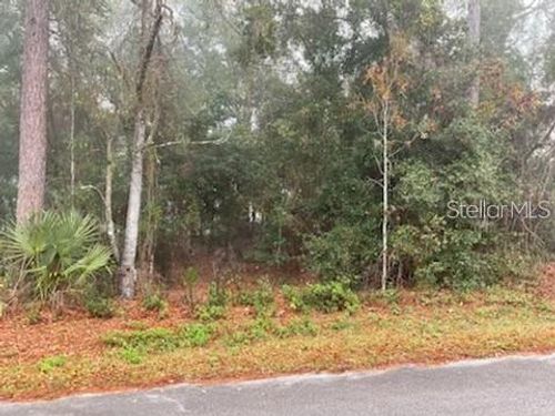 0 Se 99th Ave, BELLEVIEW, FL, 34420 | Card Image
