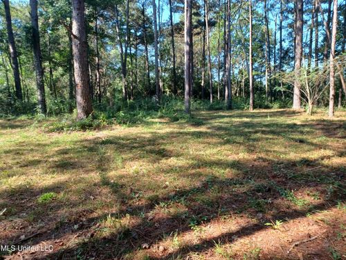 Nhn Cheryl Lane, Lumberton, MS, 39455 | Card Image