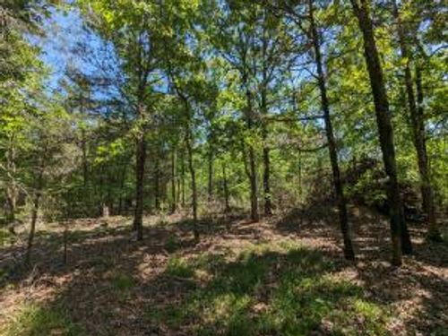 TBD 7A Spring Creek Trail, Cecil, AR, 72930 | Card Image