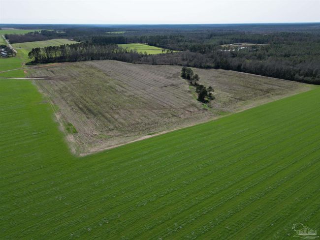 5400 Rockaway Creek Rd, Home with 0 bedrooms, 0 bathrooms and null parking in McDavid FL | Image 15