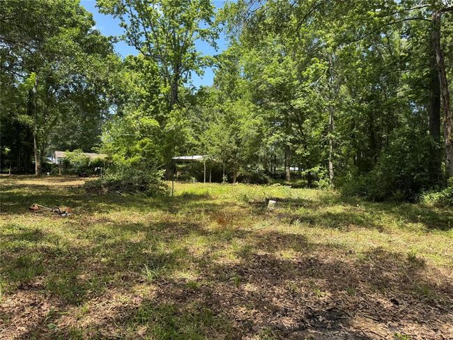 6 Peach Creek Ln, Home with 0 bedrooms, 0 bathrooms and null parking in New Caney TX | Image 12