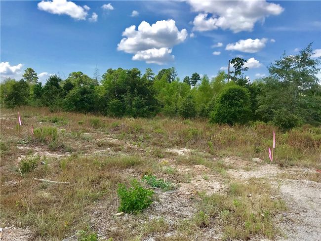 Survey stakes show boundary lines of the property. New survey has been done and is on its way! | Image 4