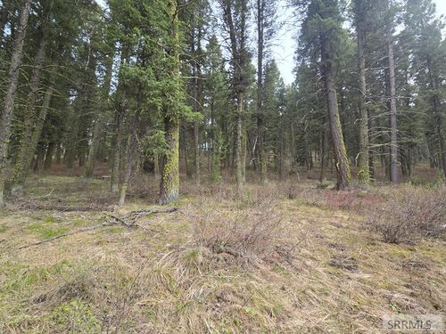 3548 Aspen Drive, Island Park, ID, 83429 | Card Image