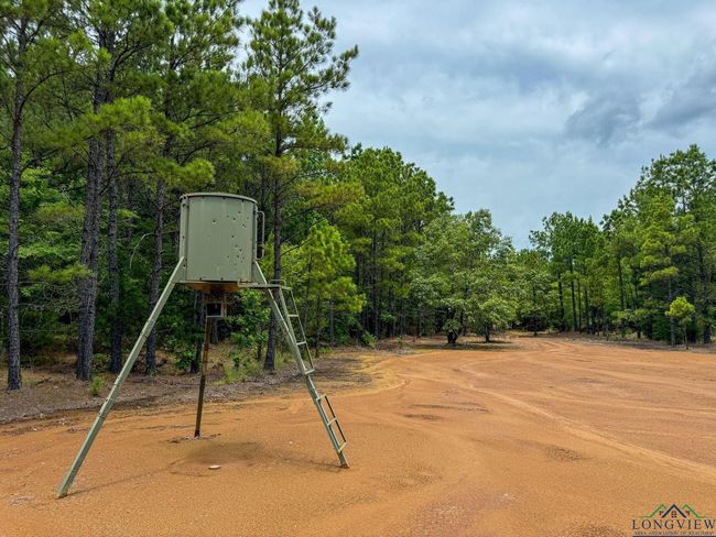 0000 Fm 3421, Home with 0 bedrooms, 0 bathrooms and null parking in Lone Star TX | Image 43