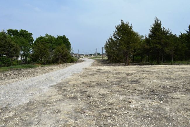 View of street | Image 16
