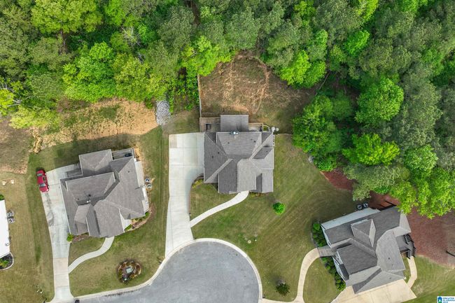 1025 Willow Branch Trl, House other with 4 bedrooms, 5 bathrooms and null parking in CHELSEA AL | Image 59