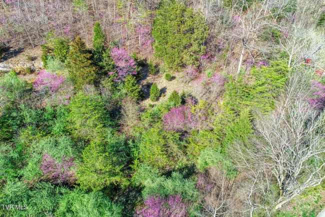 000 Sensabaugh Hollow Rd, Home with 0 bedrooms, 0 bathrooms and null parking in Church Hill TN | Image 10