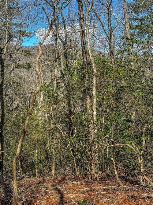 00 Ts Jarrard, Dahlonega, GA, 30533 | Card Image